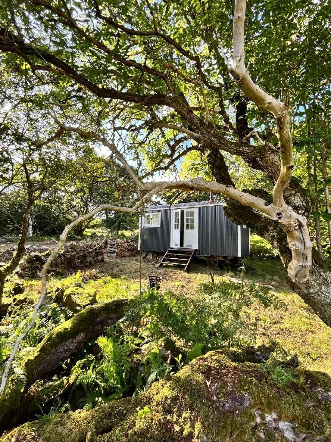 The Hazel Hut Villa Westport Kültér fotó