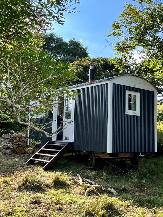 The Hazel Hut Villa Westport Kültér fotó