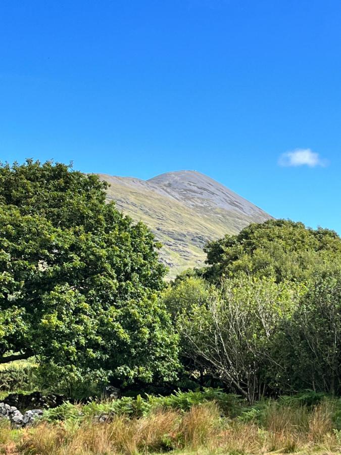 The Hazel Hut Villa Westport Kültér fotó