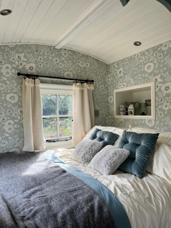 The Hazel Hut Villa Westport Kültér fotó